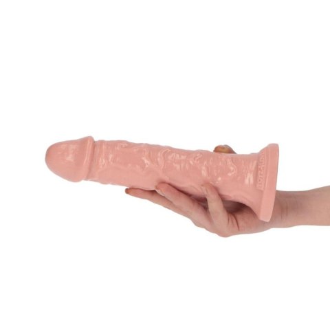 Dildo-Italian Cock 8""Flesh Dildo-Italian Cock 8""Flesh
