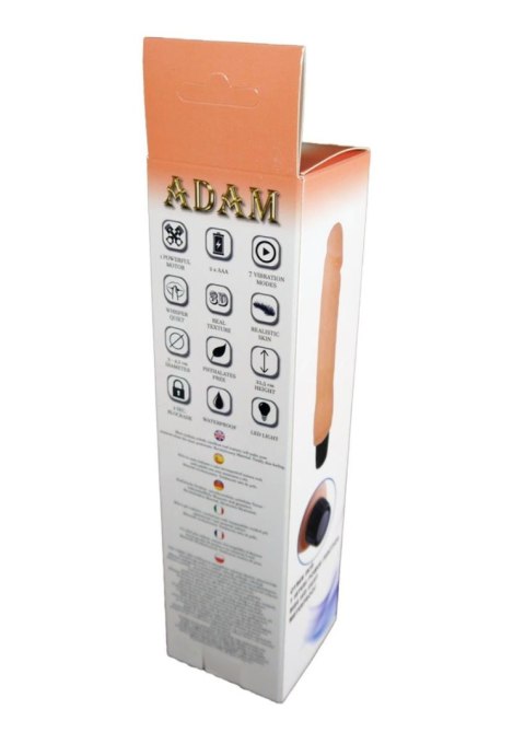 Wibrator-ADAM, 7 FUNCTION Wibrator-ADAM, 7 FUNCTION