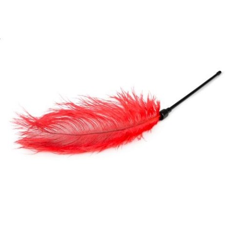 Pejcz-Red Feather Tickler Pejcz-Red Feather Tickler