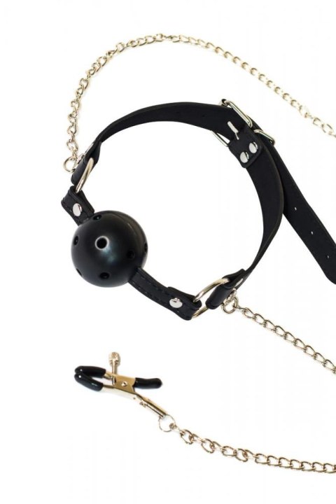 Ball Gag with nipple clamps Party Hard Gratitude Ball Gag with nipple clamps Party Hard Gratitude