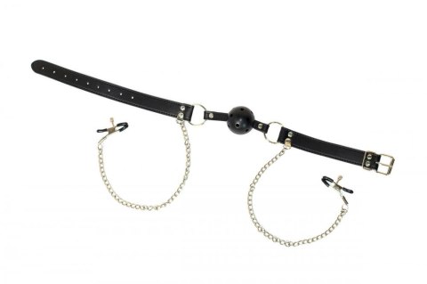 Ball Gag with nipple clamps Party Hard Gratitude Ball Gag with nipple clamps Party Hard Gratitude