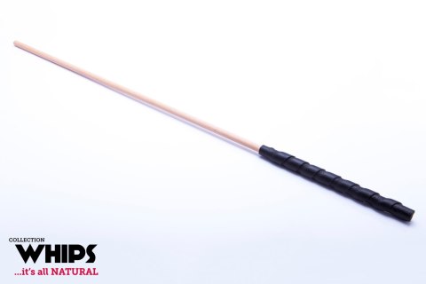 Pejcz-WHIPS trzcina bukowa Pejcz-WHIPS trzcina bukowa