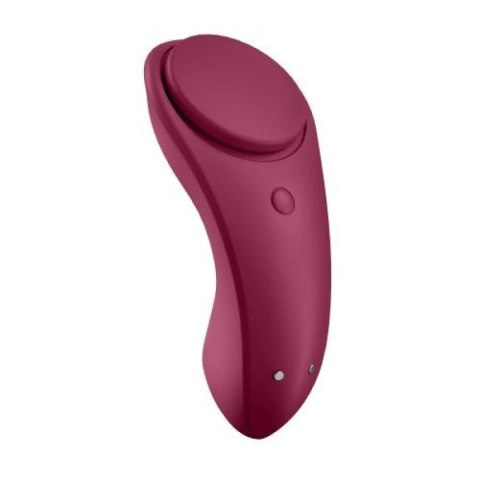 Sexy Secret Panty Vibrator Sexy Secret Panty Vibrator