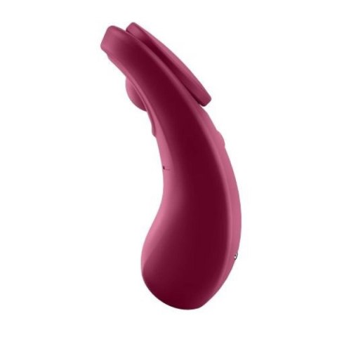 Sexy Secret Panty Vibrator Sexy Secret Panty Vibrator