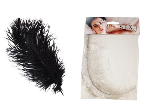 Piórko-Sex feather Piórko-Sex feather