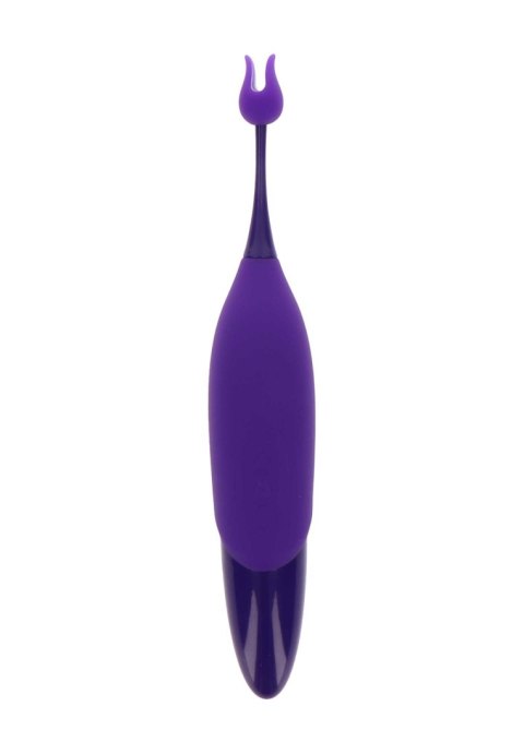 Magnificent Purple Magnificent Purple