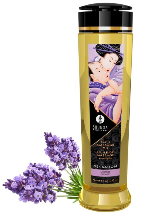 Massage Oil Sensation Lavender Massage Oil Sensation Lavender
