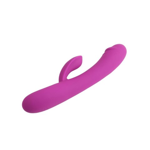 Vibe Purple Vibe Purple