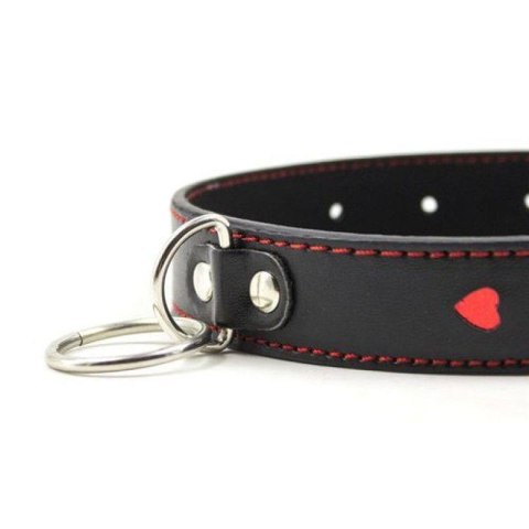Easy Collar Leash black Easy Collar Leash black