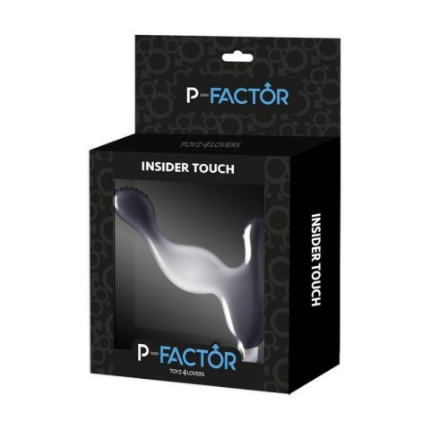 Vibratore Anale Insider Touch Vibratore Anale Insider Touch