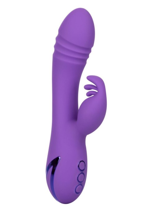 West Coast Wave Rider Purple West Coast Wave Rider Purple