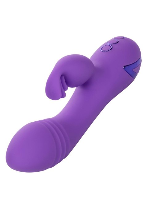 West Coast Wave Rider Purple West Coast Wave Rider Purple
