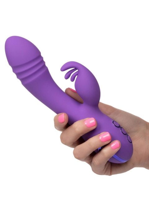 West Coast Wave Rider Purple West Coast Wave Rider Purple