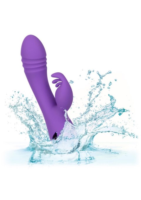 West Coast Wave Rider Purple West Coast Wave Rider Purple