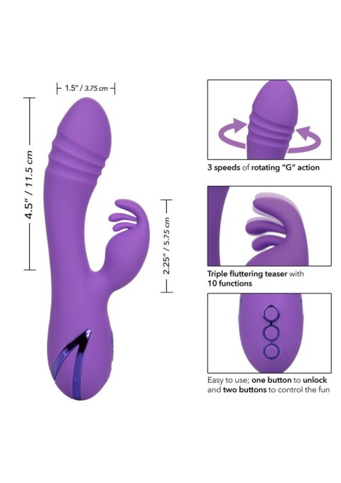 West Coast Wave Rider Purple West Coast Wave Rider Purple
