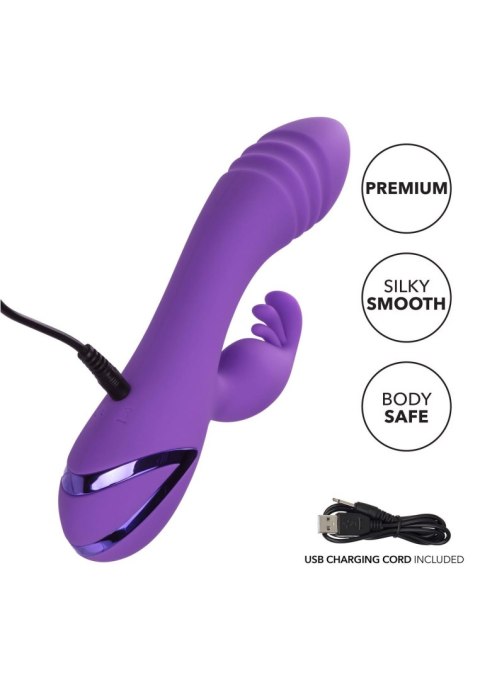West Coast Wave Rider Purple West Coast Wave Rider Purple