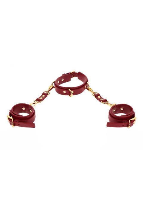 D-Ring Collar and Wrist Cuffs Red D-Ring Collar and Wrist Cuffs Red