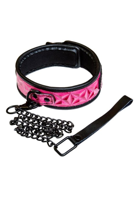 Collar Pink Collar Pink