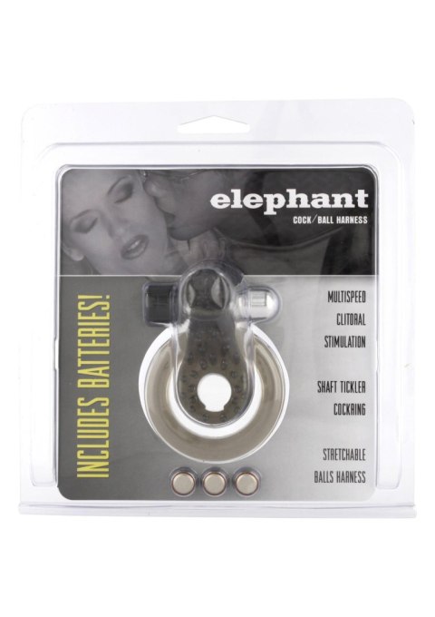 Cock & Ball Ring Elephant Transparent Cock & Ball Ring Elephant Transparent