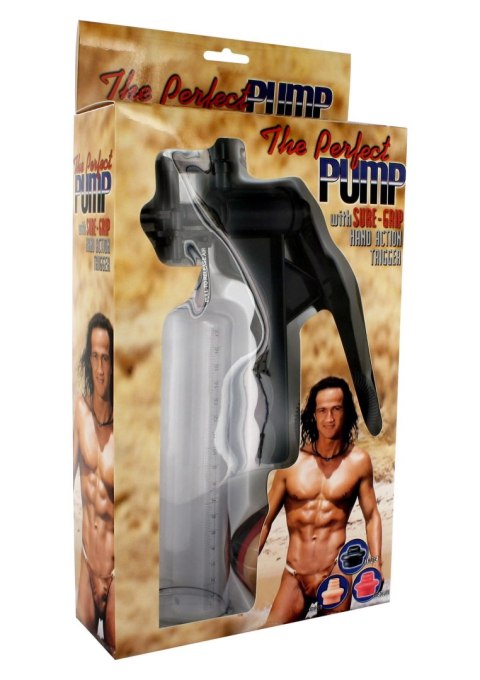 The Perfect Pump Transparent The Perfect Pump Transparent