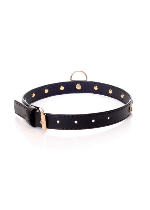 Fetish B - Series - Collar 2 cm gold crystal Fetish B - Series - Collar 2 cm gold crystal