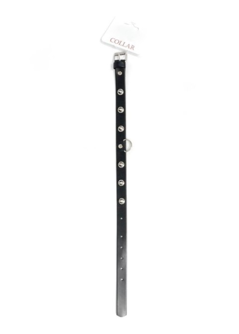 Fetish B - Series Collar with studs 2 cm Fetish B - Series Collar with studs 2 cm