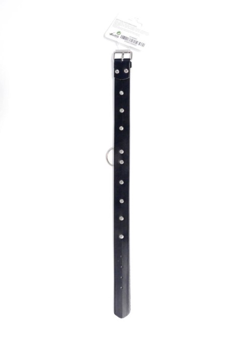 Fetish B - Series Collar with studs 3 cm Fetish B - Series Collar with studs 3 cm