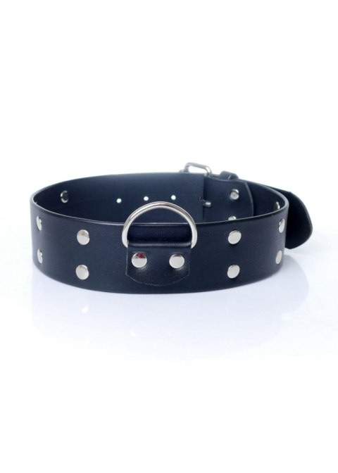 Fetish B - Series Collar with studs 4 cm Fetish B - Series Collar with studs 4 cm