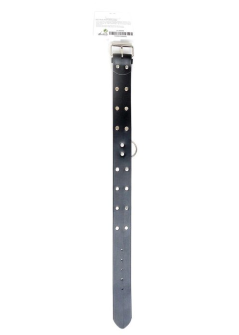 Fetish B - Series Collar with studs 4 cm Fetish B - Series Collar with studs 4 cm