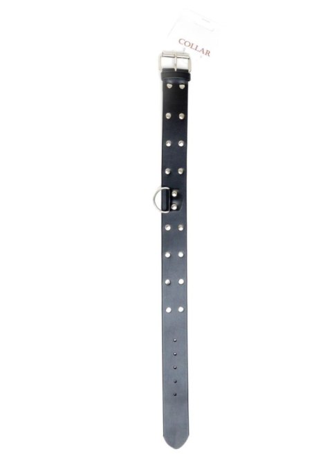 Fetish B - Series Collar with studs 4 cm Fetish B - Series Collar with studs 4 cm