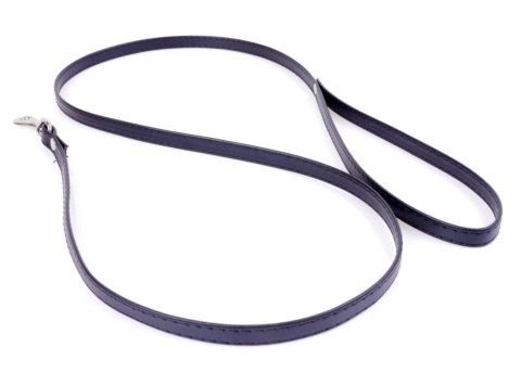 Fetish B - Series Leash Fetish B - Series Leash
