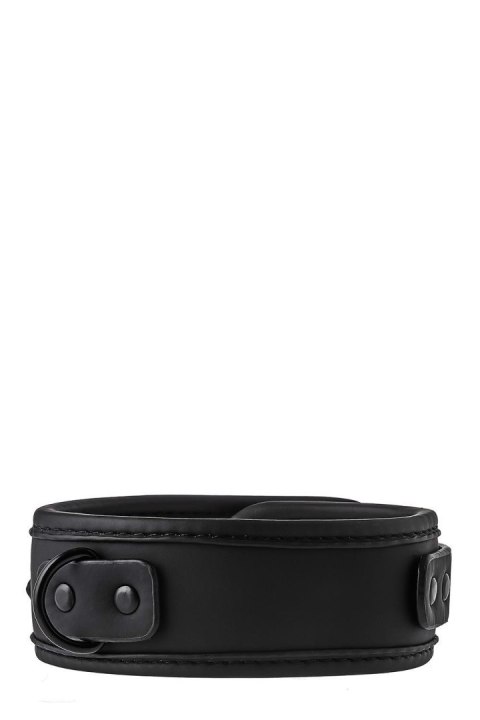 BLAZE COLLAR AND LEASH BLACK BLAZE COLLAR AND LEASH BLACK