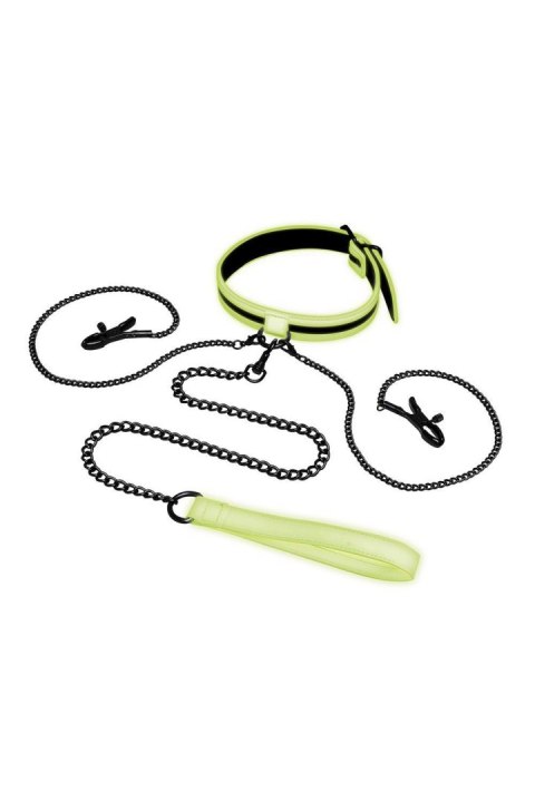WHIPSMART GLOW IN THE DARK COLLAR WITH NIPPLE CLIPS AND LEASH WHIPSMART GLOW IN THE DARK COLLAR WITH NIPPLE CLIPS AND LEASH