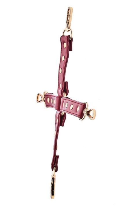 BLAZE ELITE HOGTIE RED BLAZE ELITE HOGTIE RED