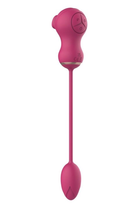 ESSENTIALS FLEXIBLE DUAL STIMULATOR AND VIBRATING EGG PINK ESSENTIALS FLEXIBLE DUAL STIMULATOR AND VIBRATING EGG PINK