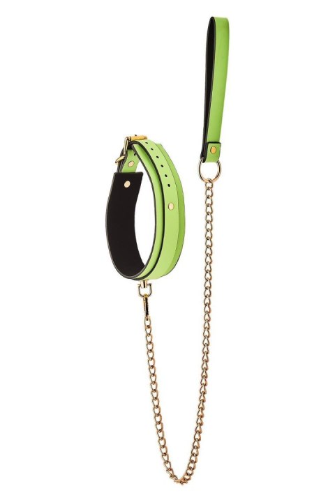 RADIANT COLLAR AND LEASH GLOW IN THE DARK GREEN RADIANT COLLAR AND LEASH GLOW IN THE DARK GREEN