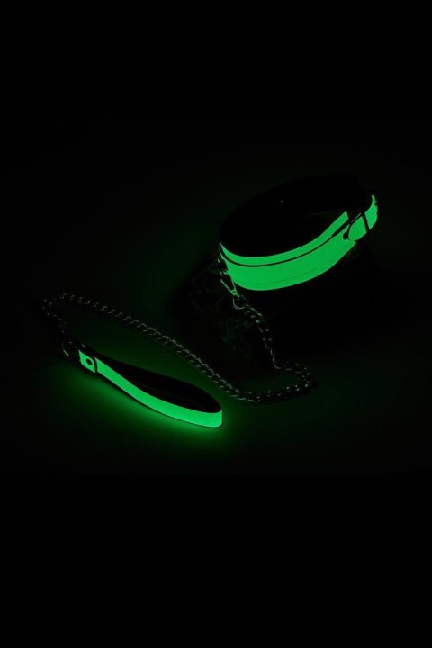 RADIANT COLLAR AND LEASH GLOW IN THE DARK GREEN RADIANT COLLAR AND LEASH GLOW IN THE DARK GREEN