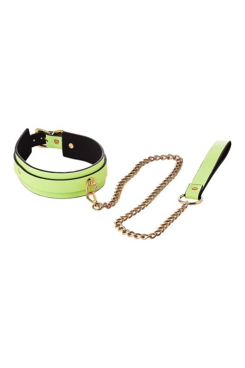 RADIANT COLLAR AND LEASH GLOW IN THE DARK GREEN RADIANT COLLAR AND LEASH GLOW IN THE DARK GREEN