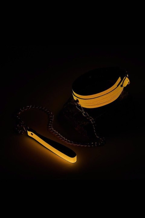 RADIANT COLLAR AND LEASH GLOW IN THE DARK ORANGE RADIANT COLLAR AND LEASH GLOW IN THE DARK ORANGE
