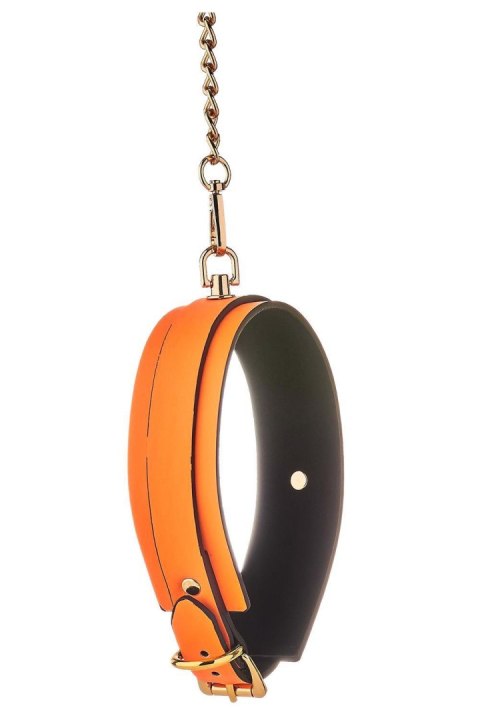 RADIANT COLLAR AND LEASH GLOW IN THE DARK ORANGE RADIANT COLLAR AND LEASH GLOW IN THE DARK ORANGE