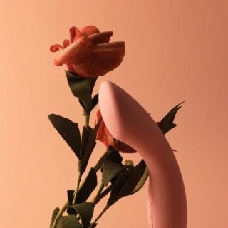 SVAKOM Amy – Luksusowy Różowy Wibrator Punktu G o Jedwabistym Wykończeniu