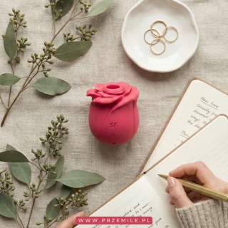 Satisfyer Pro 2 Classic Rose