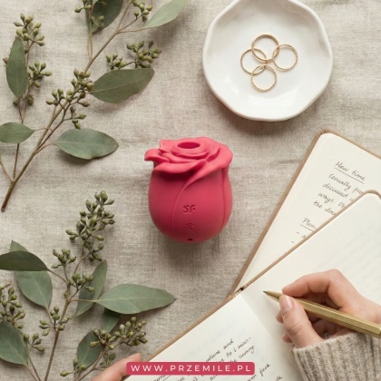 Satisfyer Pro 2 Classic Rose