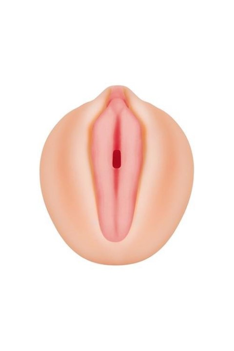 ALEXIS TEXAS REALISTIC VAGINA STROKER ALEXIS TEXAS REALISTIC VAGINA STROKER