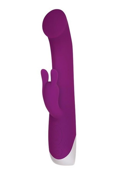 CUDDLE BUNNY PURPLE CUDDLE BUNNY PURPLE