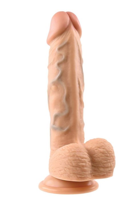 EVOLVED REALISTIC DILDO, LIGHT 20.3 cm EVOLVED REALISTIC DILDO, LIGHT 20.3 cm