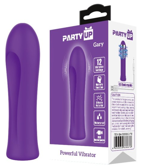 Party Up wibrator mini typ bullet ładowany usb kolor fioletowy Gary