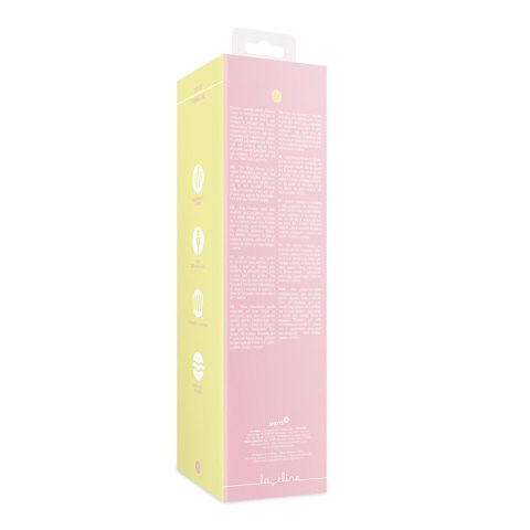 Wand Vibrator