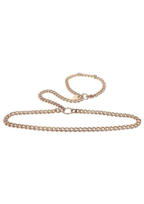 Statement Harness