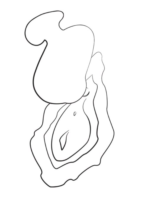 ROMP Kiss